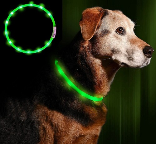 LED drošības kaklasiksna suņiem un kaķiem USB uzlādējama (regulējama garuma) / Green image 1