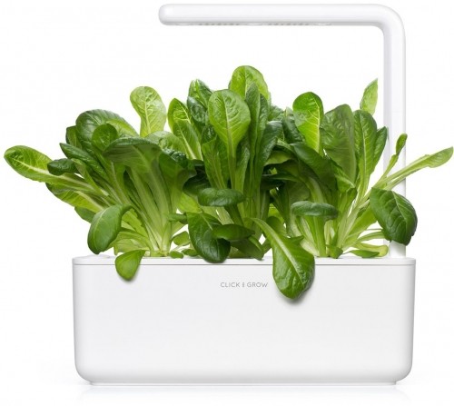 Click & Grow gudrā augu dārza uzpilde Romiešu salāti 3gb. image 1