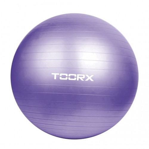 Toorx Gym ball AHF-013 D75cm with pump image 1