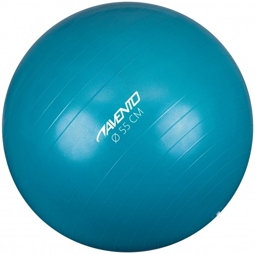 Gym Ball AVENTO 42OA 55cm Blue image 1