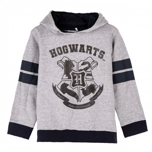 Толстовка с капюшоном детская Harry Potter Серый image 1