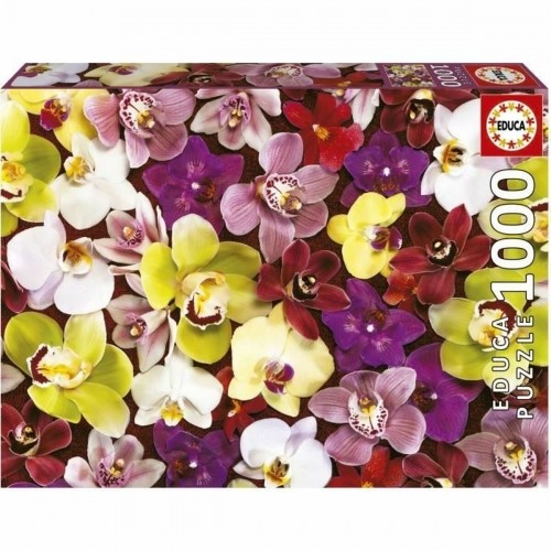 Puzle un domino komplekts Educa Orhideja 1000 Daudzums image 1