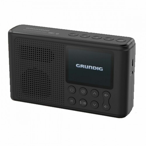 Портативное радио Grundig Music 6500 Чёрный Разноцветный image 1