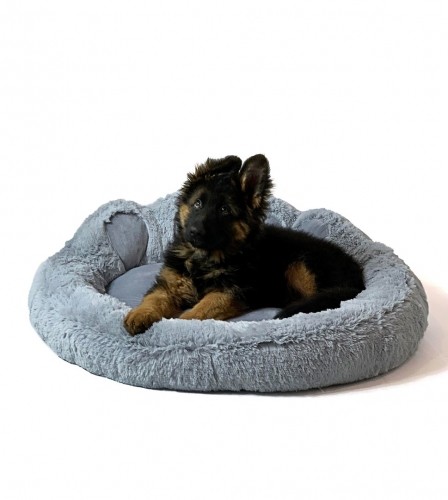 GO GIFT Dog and cat bed XL - grey - 75x75 cm image 1