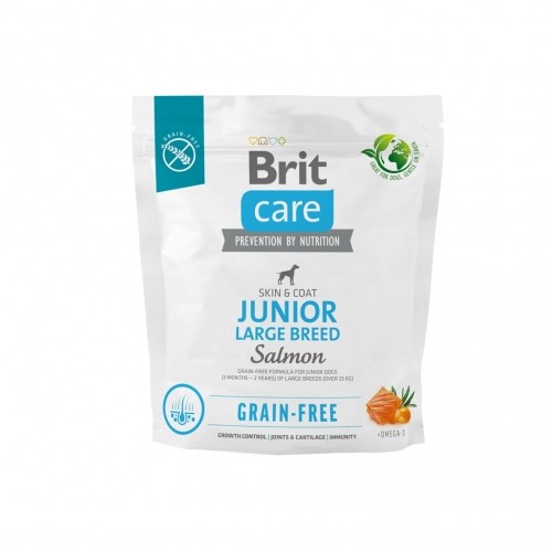 Dry food for young dog (3 months - 2 years), large breeds over 25 kg - Brit Care Dog Grain-Free Junior Large salmon 1kg image 1