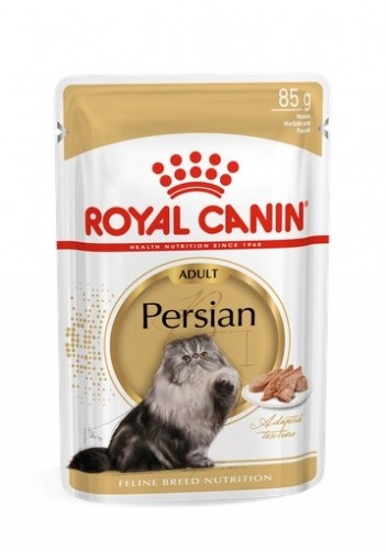 ROYAL CANIN FBN Persian Adult in pate form - wet food for adult cats - 12x85g image 1
