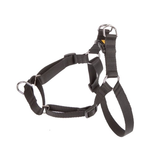 DINGO Easy Walk - Dog harness - 42-64 cm image 1