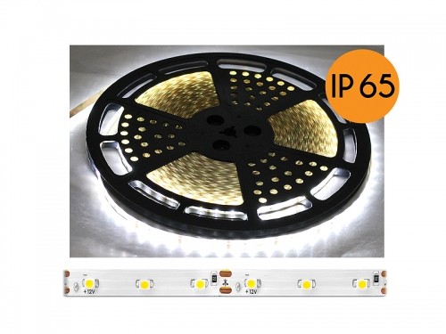 Eco Light PS ECO LED vads IP65, dabiska balta gaisma, 60diod|m, 25m, balta pamatne, SMD2835. image 1