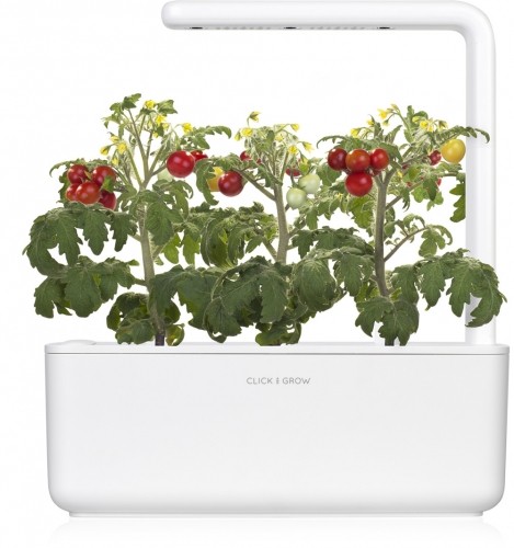 Click & Grow Smart Garden uzpilde Mini tomāti 3gb. image 2