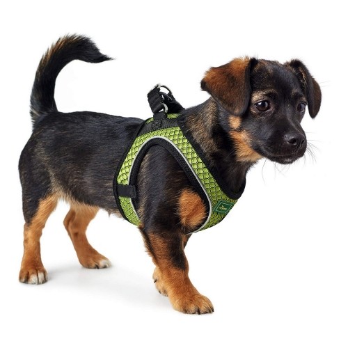 Suņu drošības siksna Hunter Hilo-Comfort Kaļķi XXS Izmērs (26-30 cm) image 2