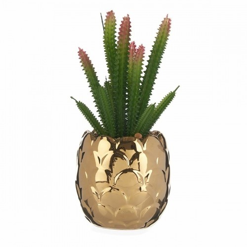 Ibergarden Dekoratīvs Augs Keramika Bronza Kaktuss Zaļš Plastmasa 6 gb. image 2