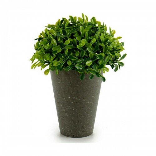 Ibergarden Декоративное растение Пластик 13 x 16 x 13 cm Зеленый Серый (12 штук) image 2