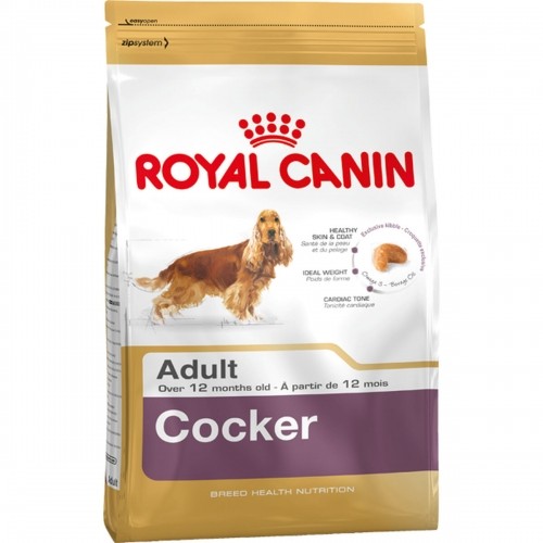 Lopbarība Royal Canin Cocker Adult 12 kg image 2