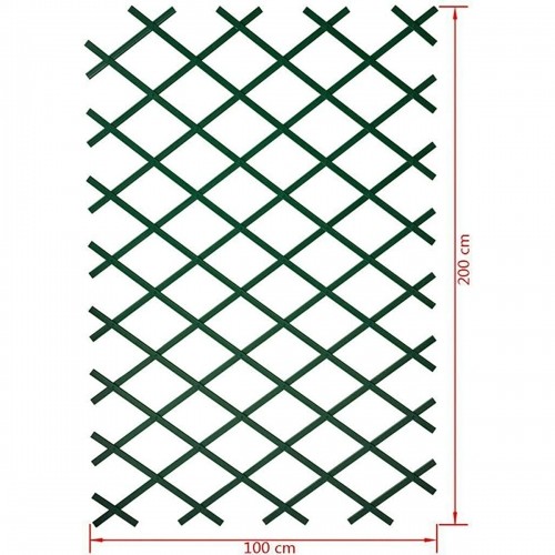 Целозия Nature Раскладная застежка Зеленый Пластик 1 x 2 m image 2