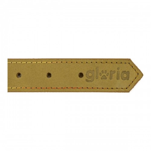 Suņa kaklasiksna Gloria Oasis Zaļš (50 x 2,1 cm) image 2
