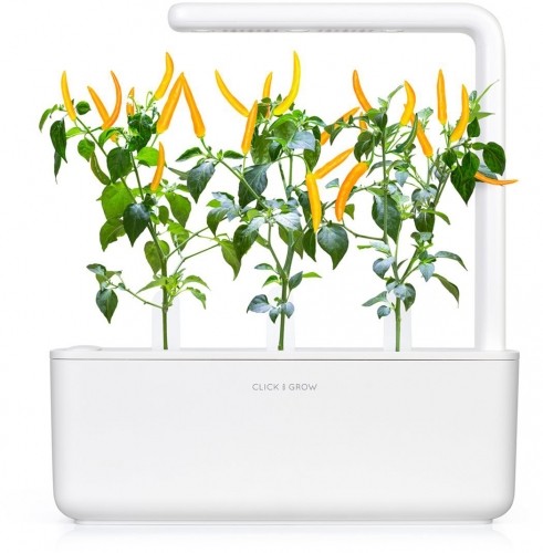 Click & Grow Smart Garden refill Yellow Chili 3pcs image 3