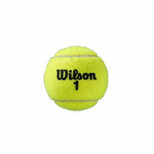 tenisa bumbiņas Wilson Roland Garros All Court Dzeltens image 3
