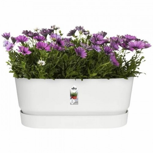 Наружный ящик для растений Elho   Белый 60 cm Пластик овальная image 3