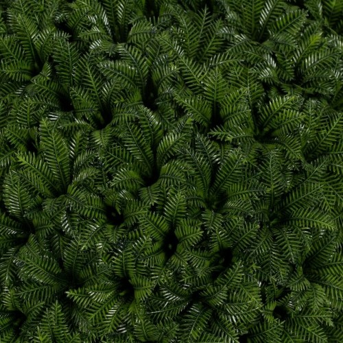 Bigbuy Home Dekoratīvs Augs Zaļš PVC 20 x 20 cm image 3