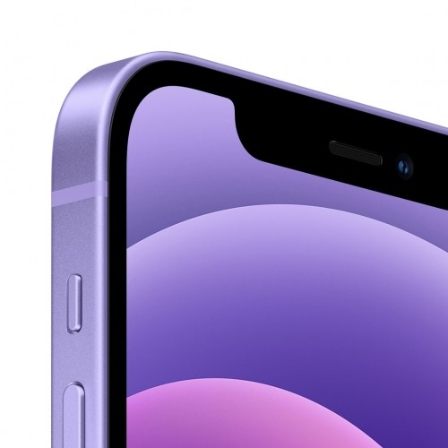 Apple iPhone 12 15.5 cm (6.1") Dual SIM iOS 14 5G 64 GB Purple image 3