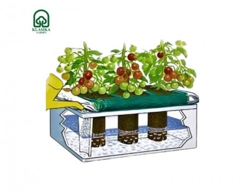 Dārzeņu audzēšanas kastes komplekts KLASIKA GARDEN BASIC image 3