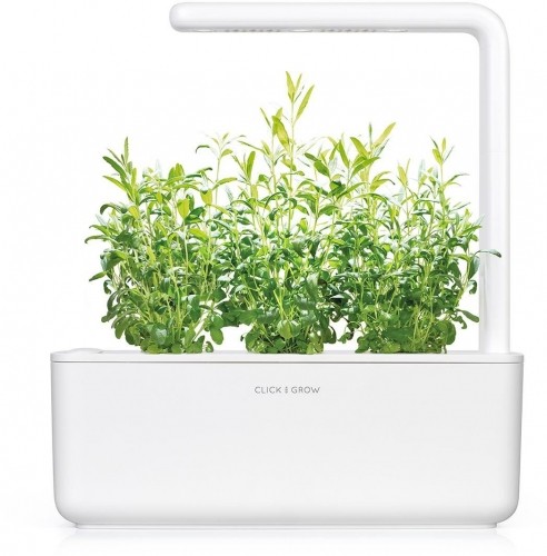 Click & Grow Smart Garden refill Иссо́п лека́рственный 3 шт image 4