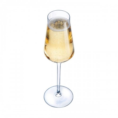 C&S Šampanieša glāze Chef & Sommelier Caurspīdīgs Stikls (21 cl) image 4