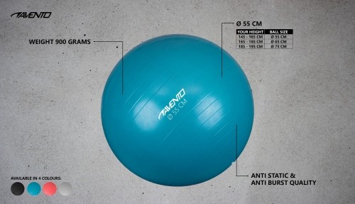 Gym Ball AVENTO 42OA 55cm Blue image 4