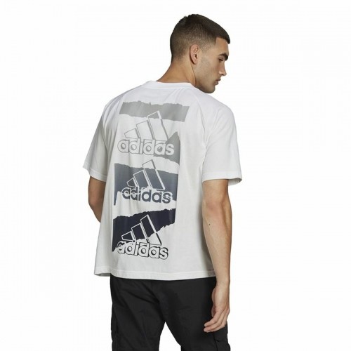 Vīriešu Krekls ar Īsām Piedurknēm Adidas Essentials Brandlove Balts image 4