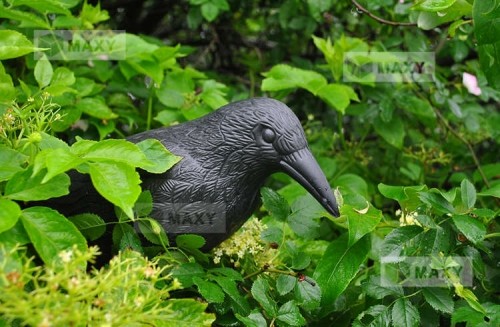 Iso Trade Bird repeller - raven (5598-0) image 4