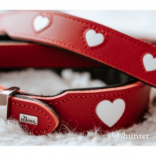 Suņa kaklasiksna Hunter Love M/L 47-54 cm Sarkans image 4