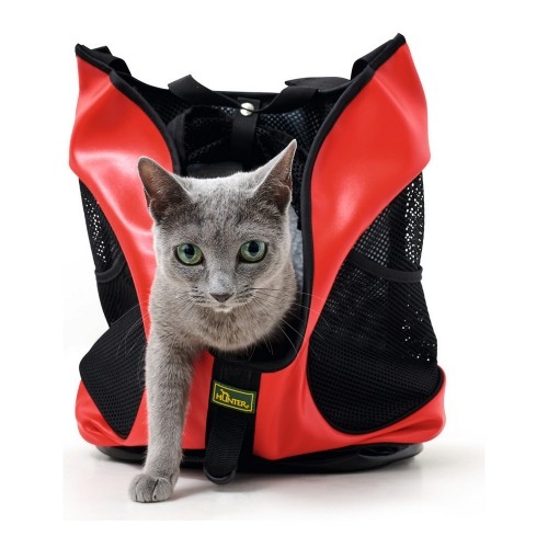 Pet Backpack Hunter Taylor Красный (35 x 20 x 40 cm) image 5