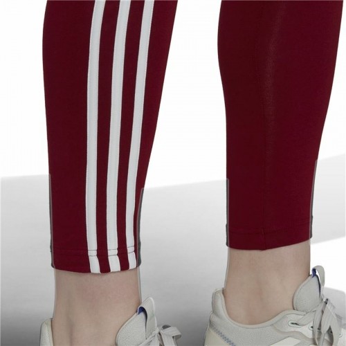 Garās sporta bikses Adidas Loungewear Bordo Dāma image 5