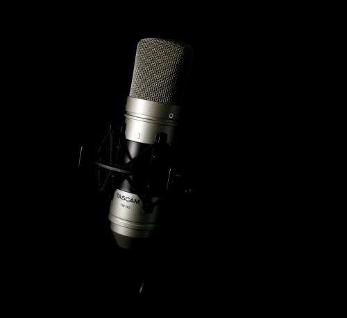 Tascam TM-80 microphone Gold Studio microphone image 5