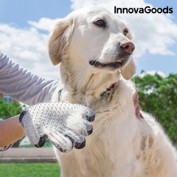 Pet Brush & Massage Glove 