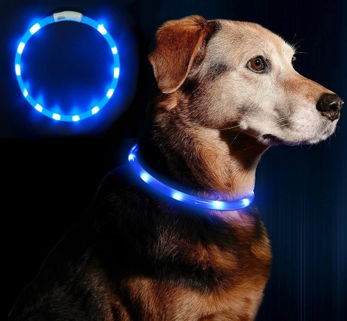 LED drošības kaklasiksna suņiem un kaķiem USB uzlādējama (regulējama garuma) / Blue image 1