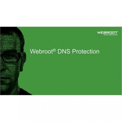Webroot DNS Protection with GSM Console, 1 year(s), License quantity 10-99 user(s) image 1