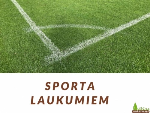 KrastmaĻi Zāliena sēklas:  Super biezais/Sport (5kg) image 1
