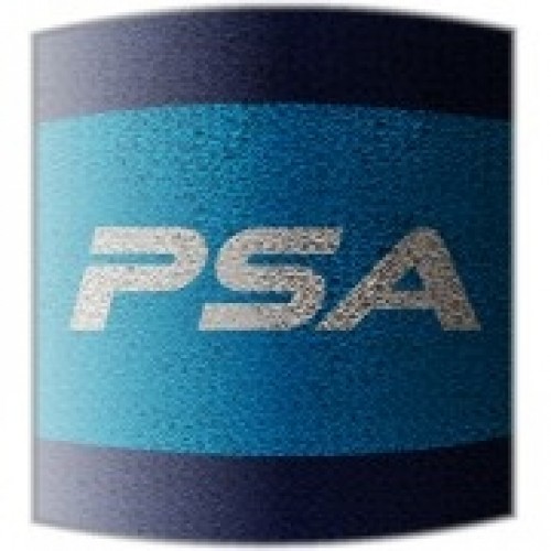 Salming PSA Wristband Short 2.0 Navy/Blue skvoša spēlētāja īsā sviedru aproce (1187864-0403) image 1