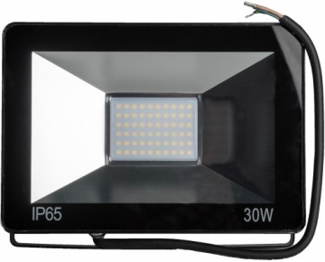 Omega LED prožektors 30W 4200K (43861)