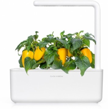 Click & Grow gudrā augu dārza uzpilde Dzeltenā saldā paprika 3gb.