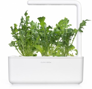 Click & Grow Smart Garden refill Руккола 3 штуки