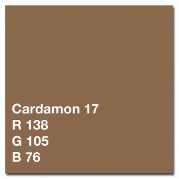 Colorama background 1,35x11m, cardamon (517)