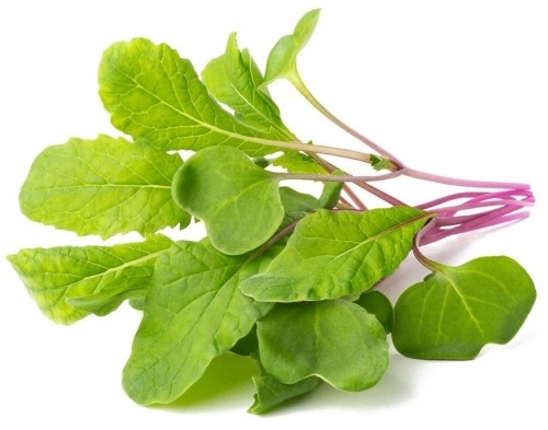 Click & Grow Smart Refill Leaf Radish 3pcs image 1