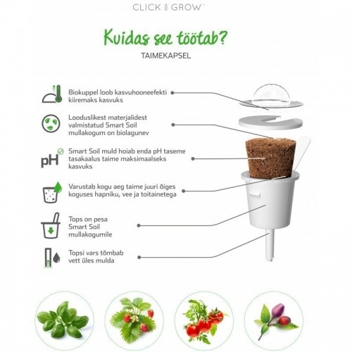 Click & Grow Smart Refill Italian Kale 3pcs image 4