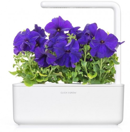 Click & Grow Smart Garden refill Blue Petunia 3pcs image 2