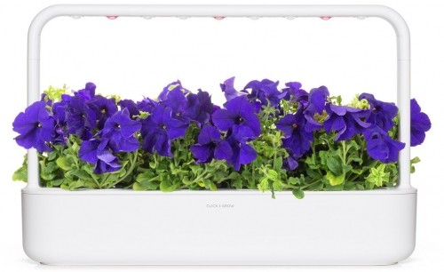 Click & Grow Smart Garden refill Blue Petunia 3pcs image 3