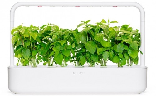 Click & Grow Smart Garden капсулы Коричный базилик 3 шт. image 2