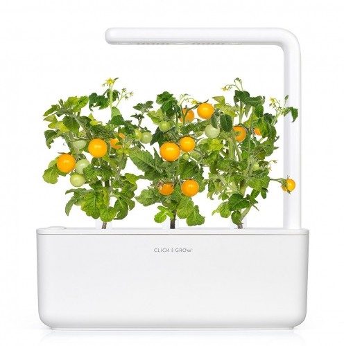 Click & Grow Smart Garden uzpilde Dzeltenie mini tomāti 3gb. image 4