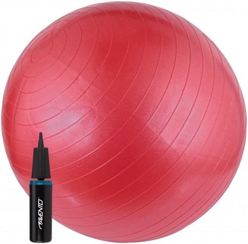 Gym Ball AVENTO 42OD 65cm +pomp Pink image 1